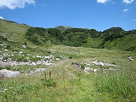 高山,山,山景觀