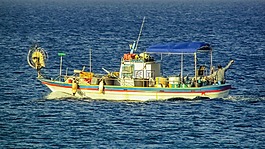 釣魚,漁船,船