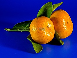 橙,普通話,水果