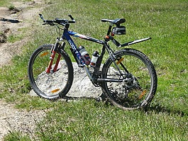 騎自行車,自行車,離