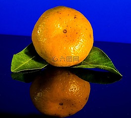 橙,普通話,水果