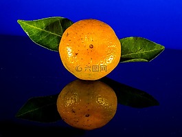 橙,普通話,水果
