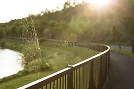 蜘蛛網(wǎng),花園,光明