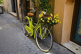 自行車,花,籃
