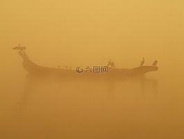 鳥,早上,水