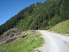 高山,山,山景观