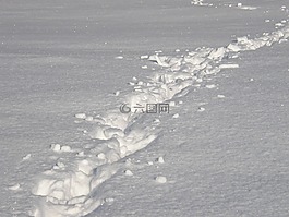 雪,雪中痕跡,白