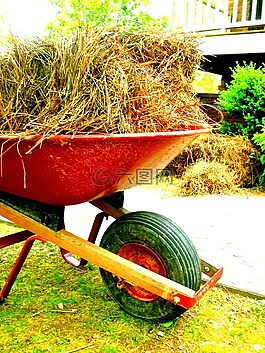 獨(dú)輪車,目睹,戶外