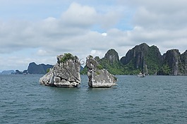 halongbay,背景,景觀
