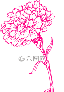 花,打印,粉紅色