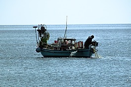 黎明,釣魚,漁船