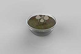 蘑菇,3d,碗