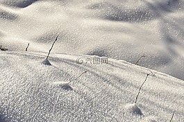 冬季,雪,比爾
