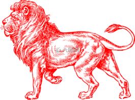 狮子,红色,男