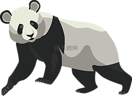 熊貓,熊,動物