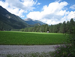 高山,山,山景观