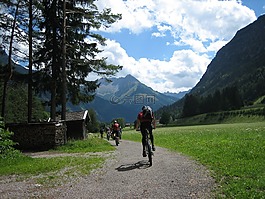 騎自行車,自行車,transalp