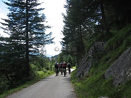 騎自行車,自行車,transalp