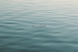 海,海洋,水