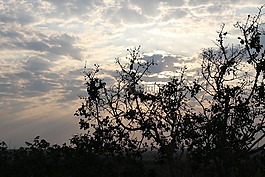 野生的,窮鄉(xiāng)僻壤,東北地區(qū)