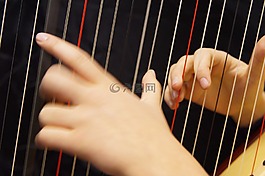 手,音乐手,竖琴