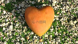 橙,心臟,愛情