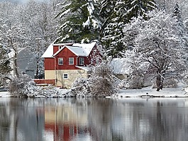 雪,景觀,湖
