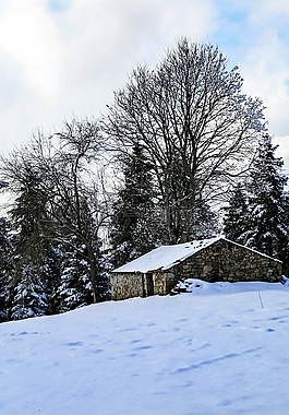 首頁,雪,景觀