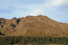 阿拉斯加州,森林,荒野