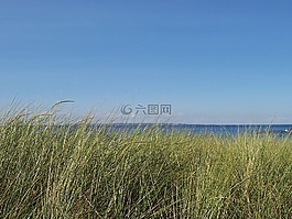 湖,海灘,草
