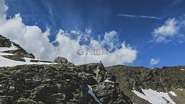 自然,景觀,草