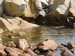 水,巖,海灘