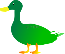 綠色,鳥,鴨