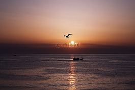 日出,日出之地,海