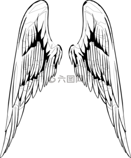 翅膀,翼,内部翅膀
