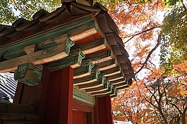 佛國寺,賽車,大韓民國