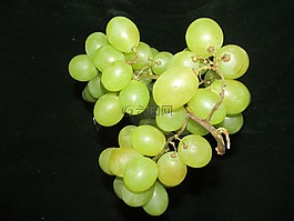 uva,水果,食品