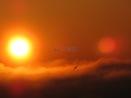 太陽,日出,云