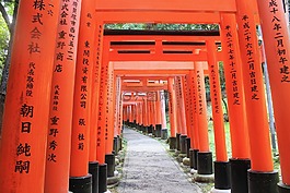 路,路徑,隧道