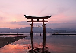 海,海洋,水