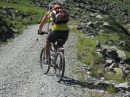 騎自行車,自行車,transalp