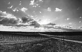 日出,的freinsheim,太阳