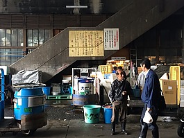 業(yè)務(wù),市場,魚