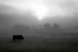 農(nóng)場,農(nóng)村,原野