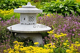 體系結(jié)構(gòu),設(shè)計,鮮花