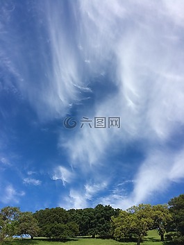 云,樹,綠色