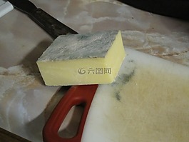 模具,關于,奶酪