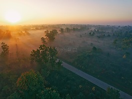 路,街,樹