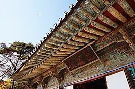 佛國寺,賽車,大韓民國