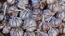 食品,蔬菜,大蒜